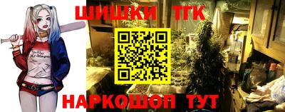 круглые Краснознаменск