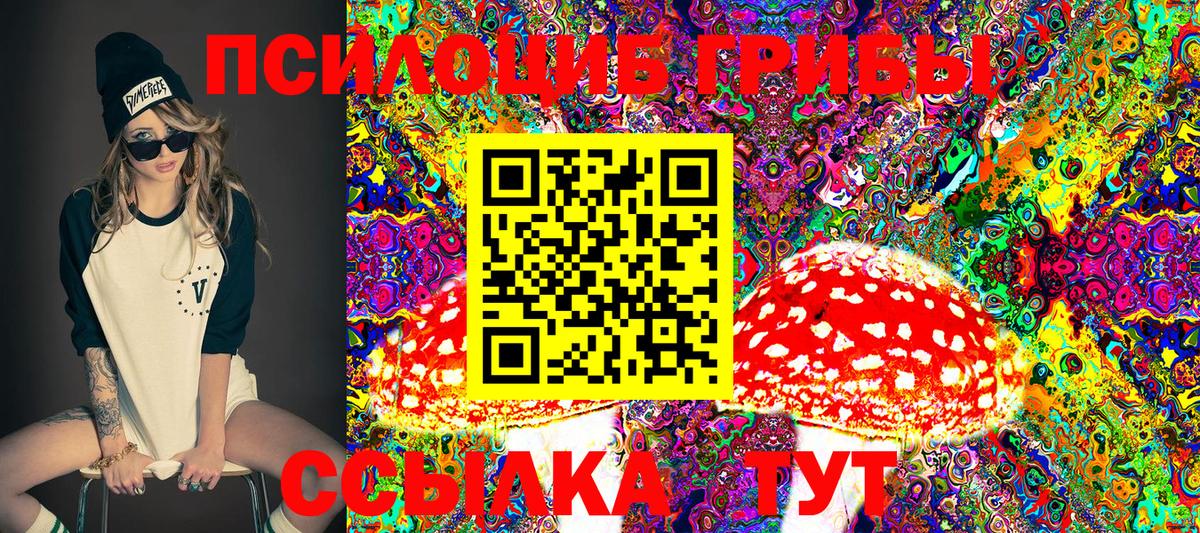 Железногорск  Галлюциногенные грибы Psilocybe  купить закладку  Вход с VPN 